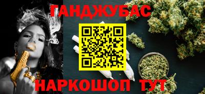 дживик Можга