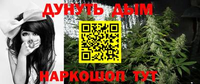 дживик Можга