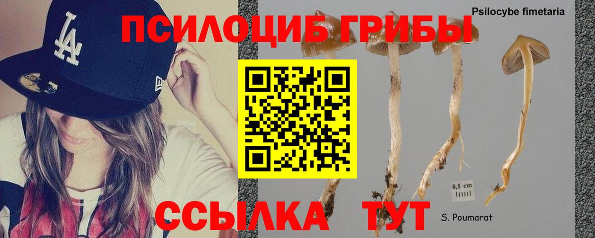 Галлюциногенные грибы GOLDEN TEACHER Ухта